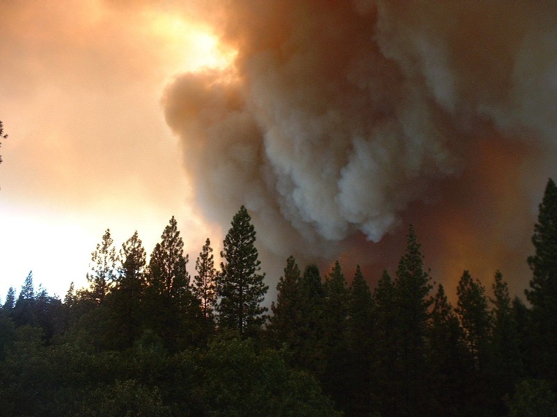 loading Gallery/Action/Oregon Fire, 2001/fullsize/Header 1.JPG... or select a thumbnail